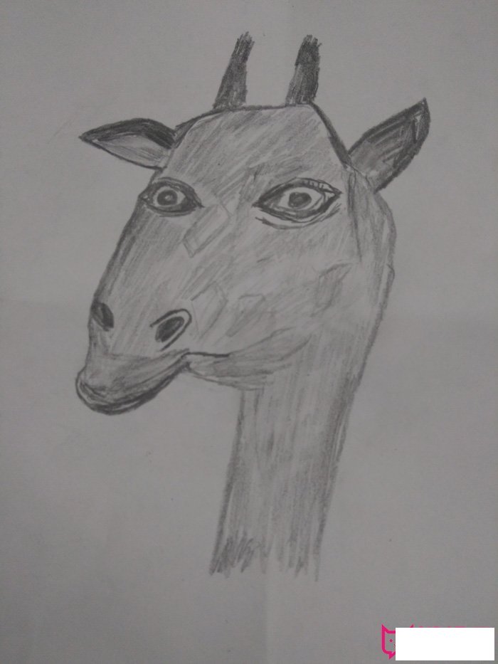 小动物简笔画图片，可爱的鹿头像简笔画