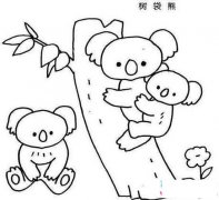 儿童树袋熊一家简笔画图片大全