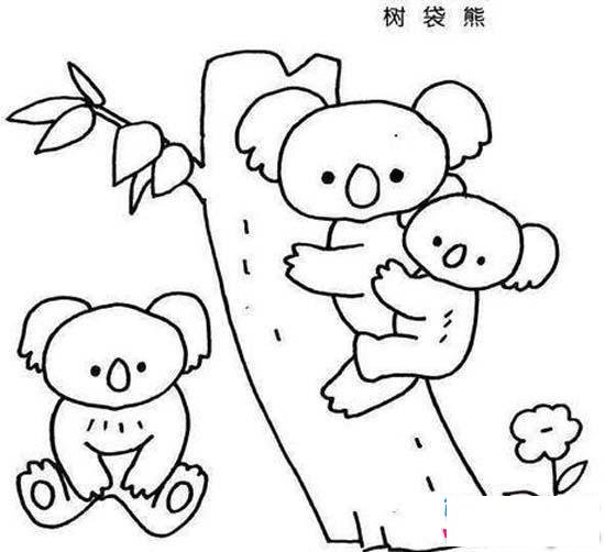儿童树袋熊一家简笔画图片大全