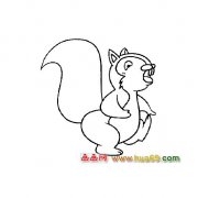 简笔画│生气的小松鼠5