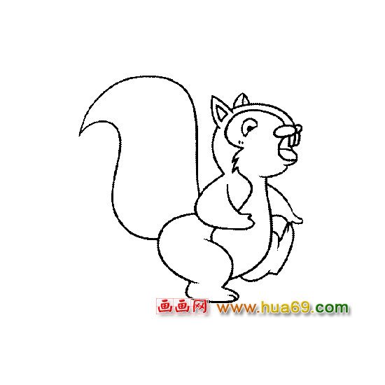 简笔画│生气的小松鼠5