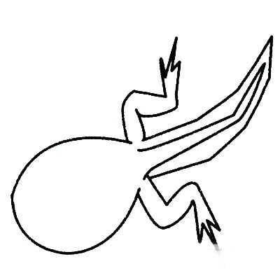 蝌蚪简笔画图片