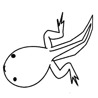 蝌蚪简笔画图片