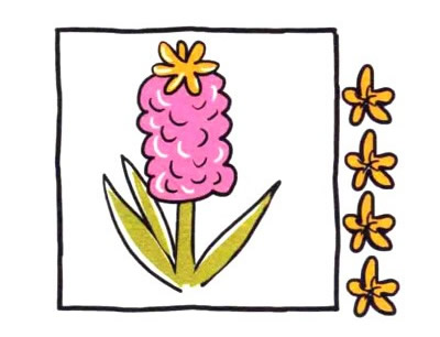 四步画出风信子简笔画图片