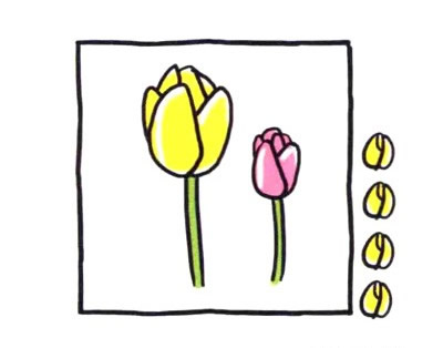 四步画出郁金香简笔画图片