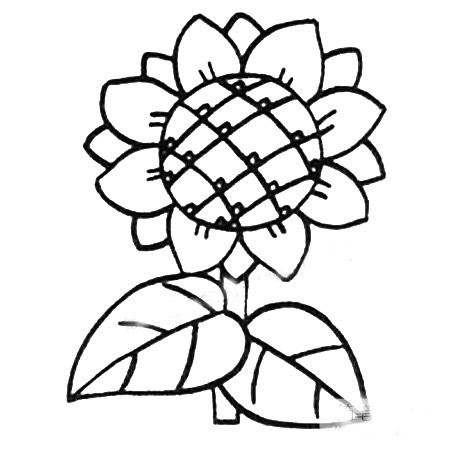 向日葵简笔画