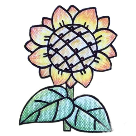 向日葵简笔画步骤教程