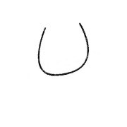 苍蝇简笔画的画法步骤教程