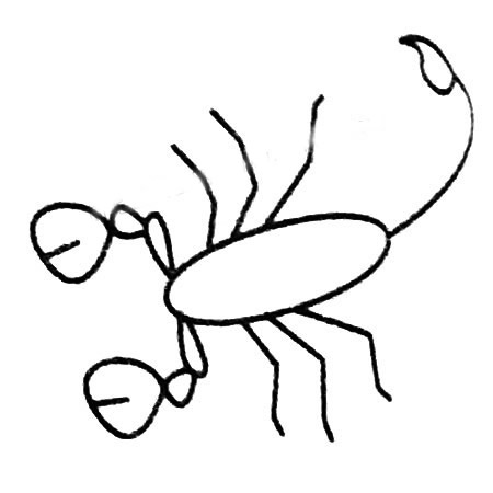 蝎子简笔画图片
