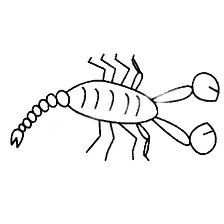 蝎子简笔画图片