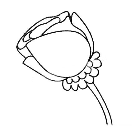 玫瑰花简笔画大全及画法步骤