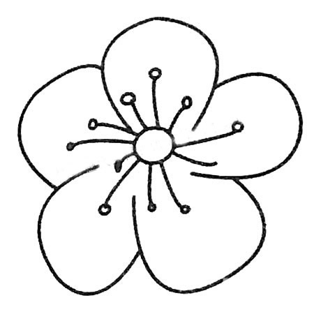 梅花花朵简笔画图片大全