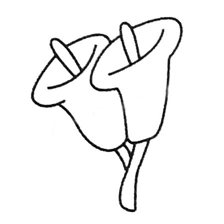 百合花简笔画大全及画法步骤