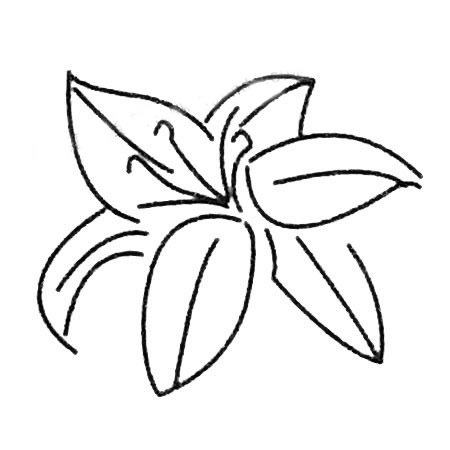 百合花简笔画大全及画法步骤