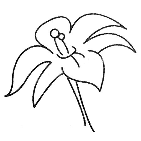 百合花简笔画大全及画法步骤