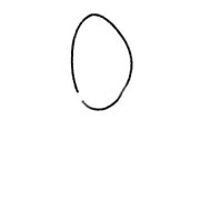 郁金香简笔画图片大全及画法步骤