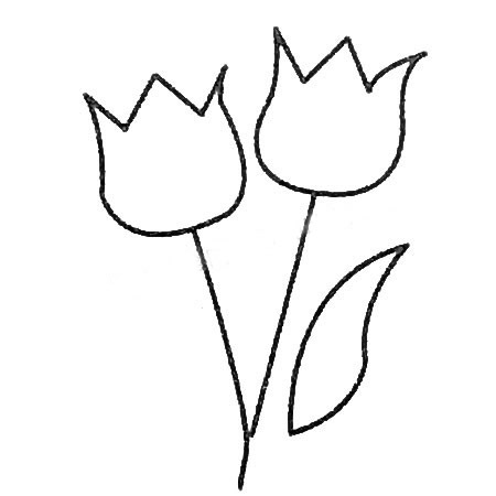 郁金香简笔画大全及画法步骤