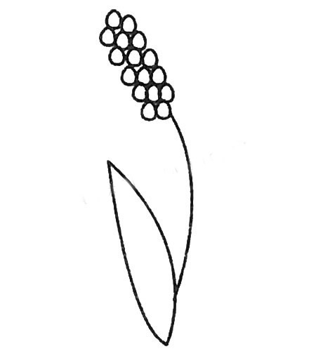 风信子简笔画大全