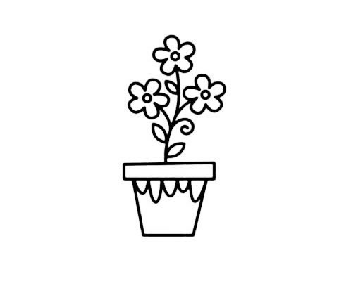盆栽花草的画法简笔画图片