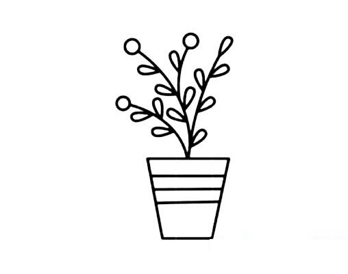 盆栽花草的画法简笔画图片