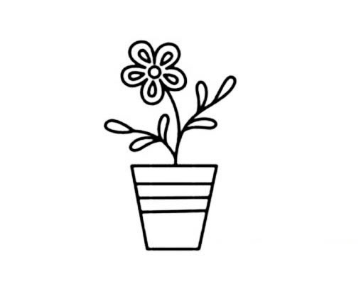 盆栽花草的画法简笔画图片