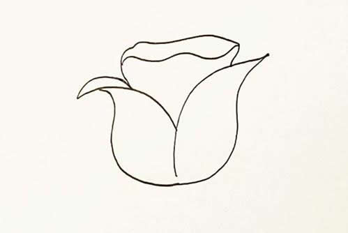 玫瑰花简笔画画法