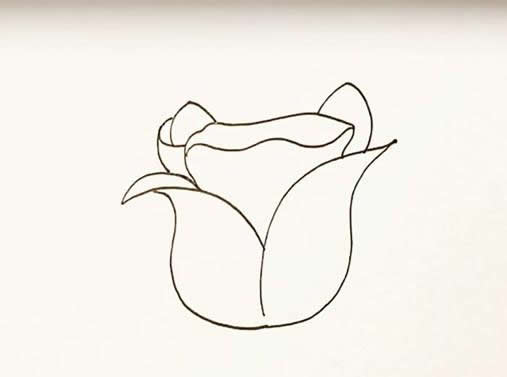 玫瑰花简笔画画法