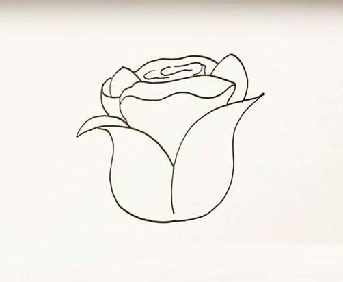 玫瑰花简笔画画法