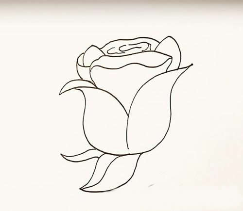 玫瑰花简笔画画法