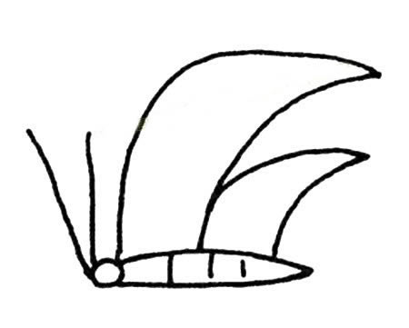 蝴蝶简笔画图片