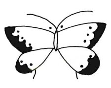 15种简单蝴蝶的画法简笔画