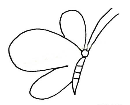 简单的蝴蝶简笔画图片大全