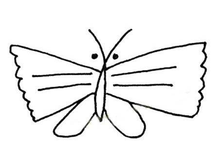 简单的蝴蝶简笔画图片大全