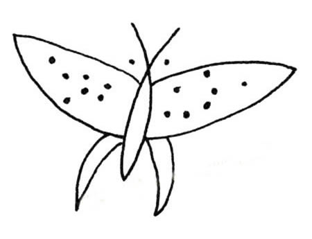 简单的蝴蝶简笔画图片大全