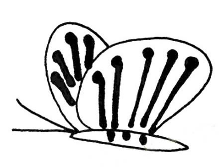 简单的蝴蝶简笔画图片大全