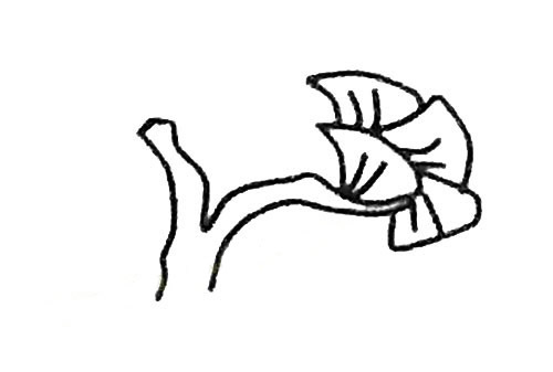 简单四步画出银杏树简笔画步骤图
