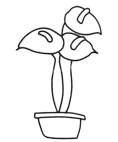 红掌简笔画的画法