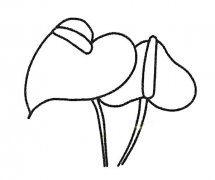 6款红掌简笔画图片