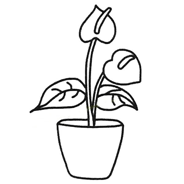 红掌简笔画图片