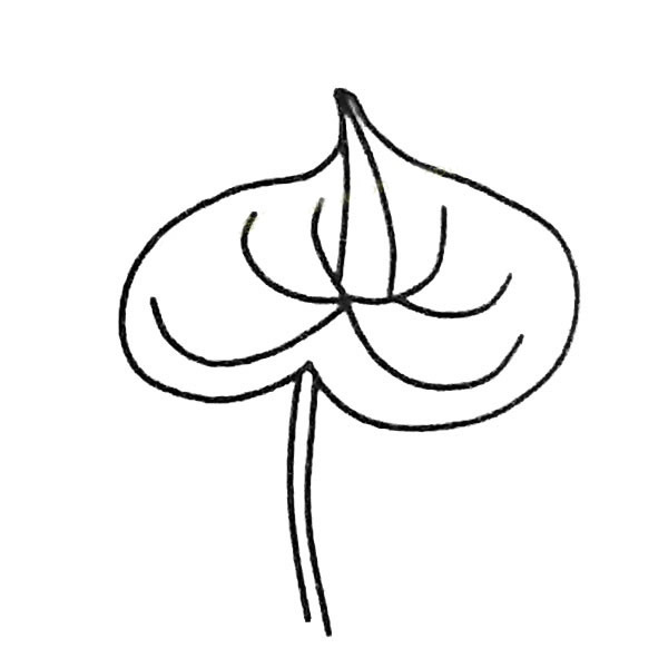 红掌简笔画图片