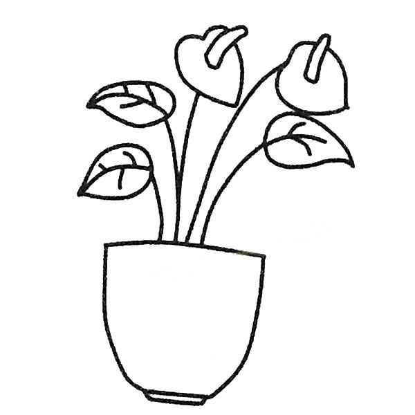 红掌简笔画图片