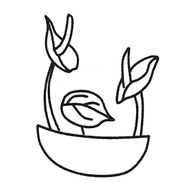 红掌简笔画图片