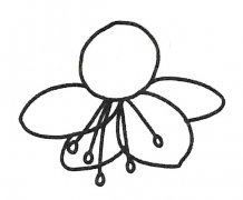 樱花简笔画图片