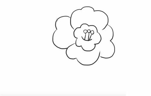 茶花简笔画步骤图解