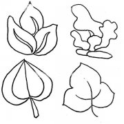 36种树叶的画法简笔画图片