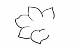 杜鹃花简笔画的画法步骤图