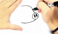 可爱小猪简笔画步骤图解教程