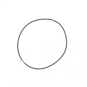 柠檬片的画法简笔画步骤图解教程