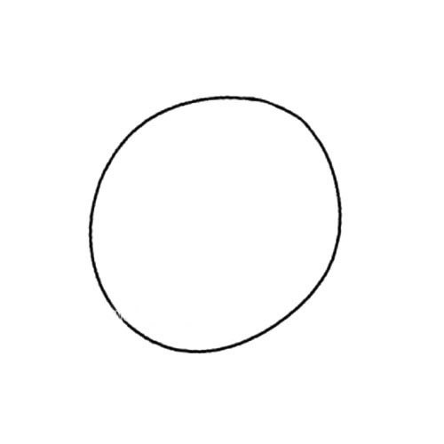 柠檬片的画法简笔画步骤图