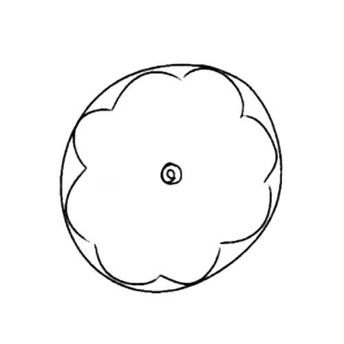 柠檬片的画法简笔画步骤图